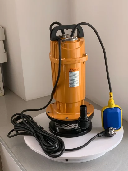 Cutomizzazione di base Waterpro Popolare 750W 220V Pompa ad acqua sommergibile ad alta testa da 2 pollici Cina Qdx Modello