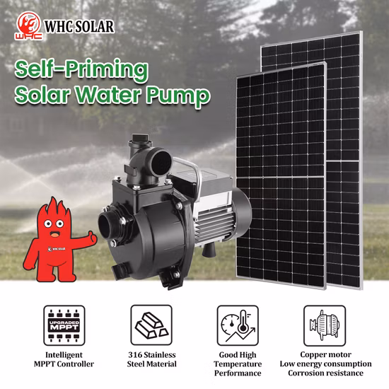 Pompa per acqua ad energia solare Zri, pompa per acqua di superficie solare, pompa centrifuga ad alta pressione per irrigazione con controller DC MPPT